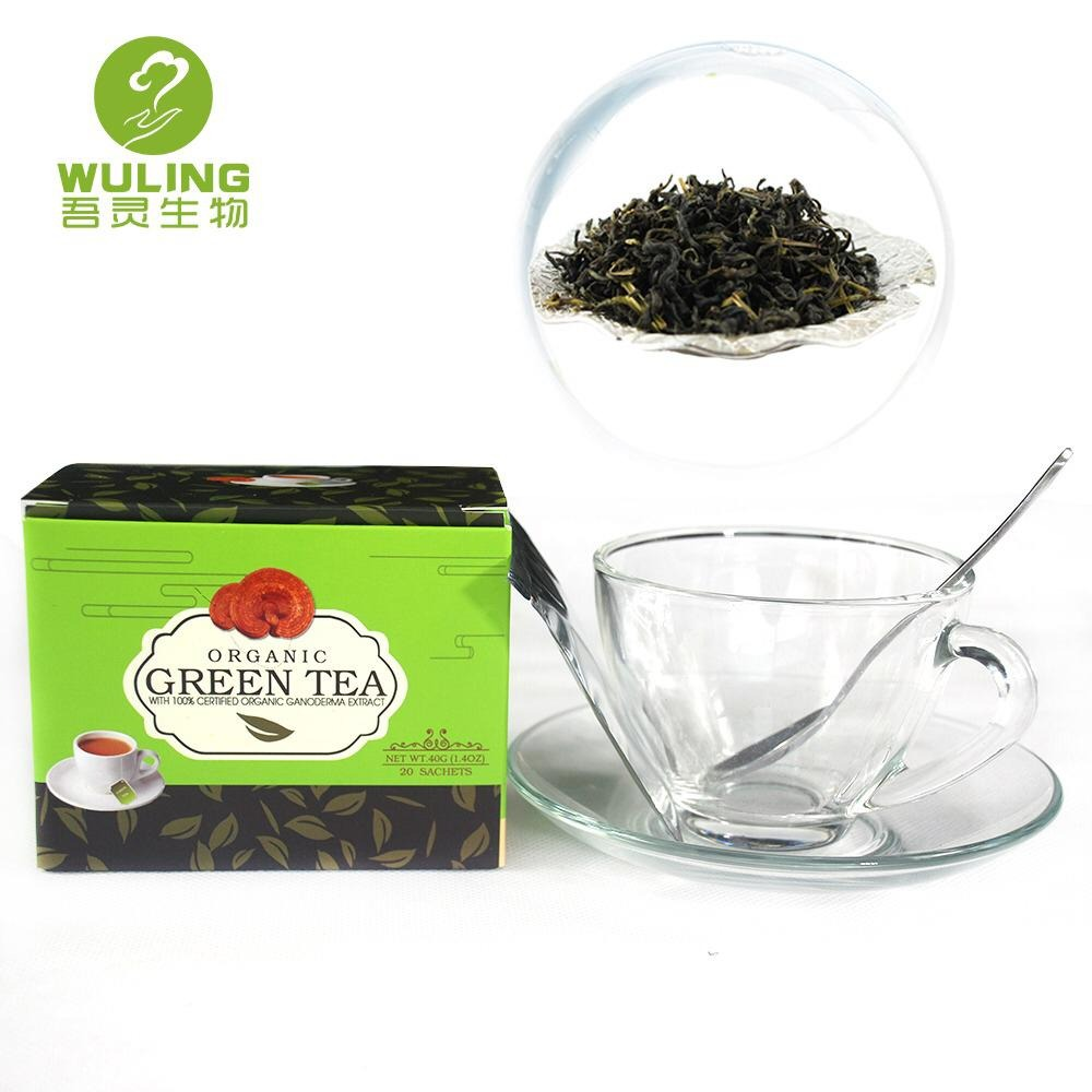 Organic Reishi Mushroom Green Tea Bags