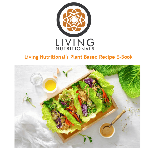 Living Nutritional's Plant Based Recipe Ebook
